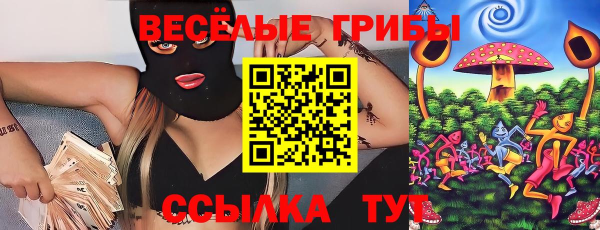 Среднеуральск  где найти   Вход с VPN  Псилоцибиновые грибы мухоморы 