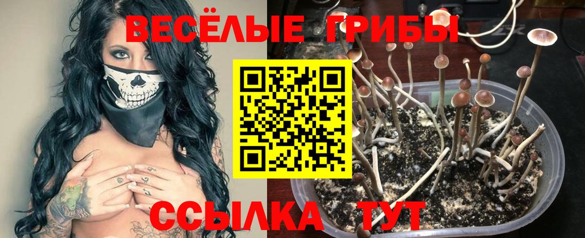 Псилоцибиновые грибы ЛСД Среднеуральск